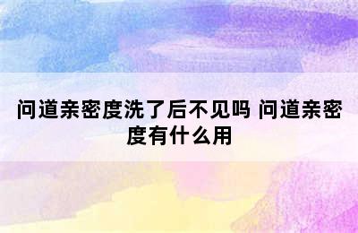 问道亲密度洗了后不见吗 问道亲密度有什么用